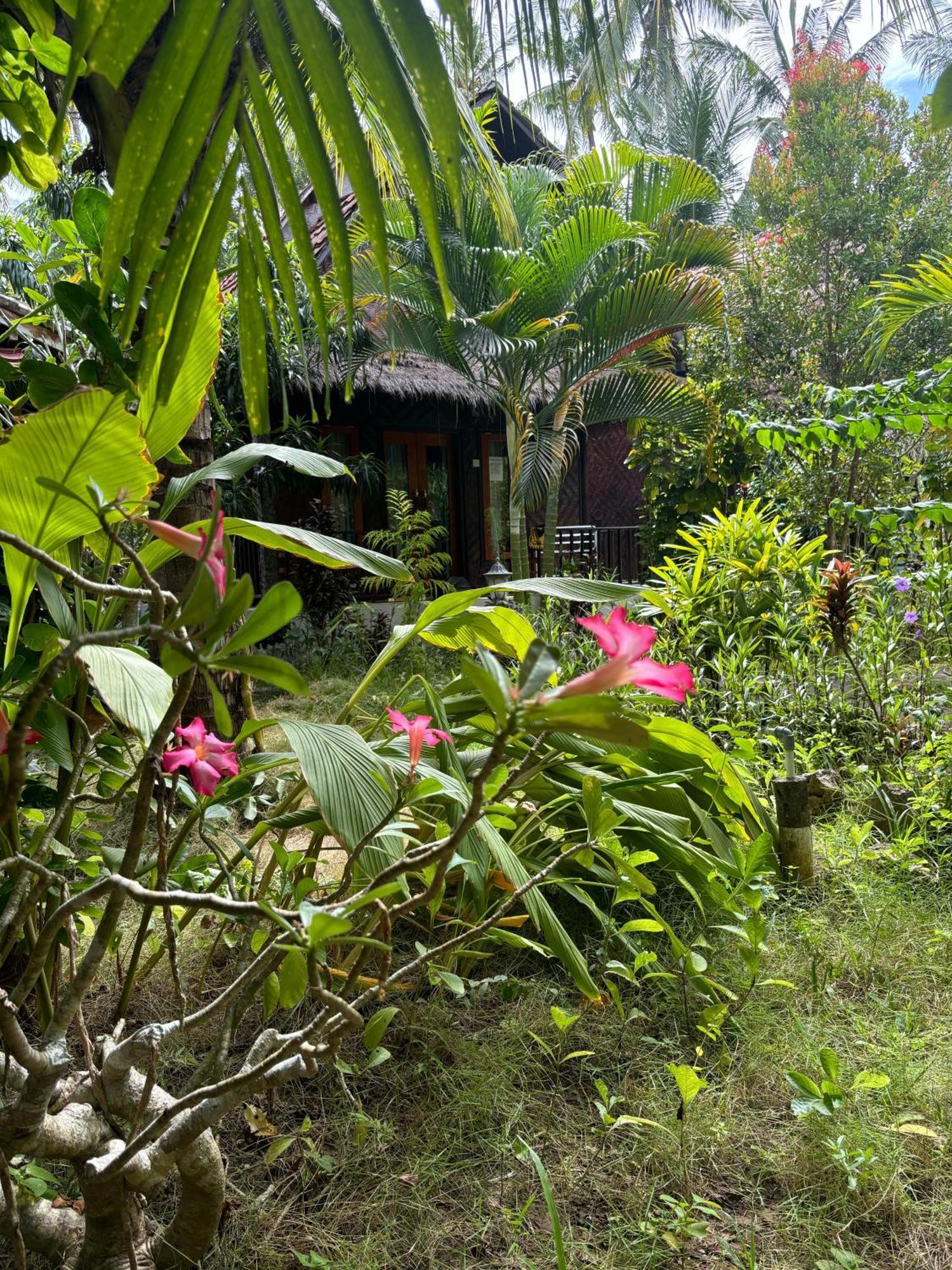 Kubu Artha Bungalow Nusa Penida Ped Exteriör bild