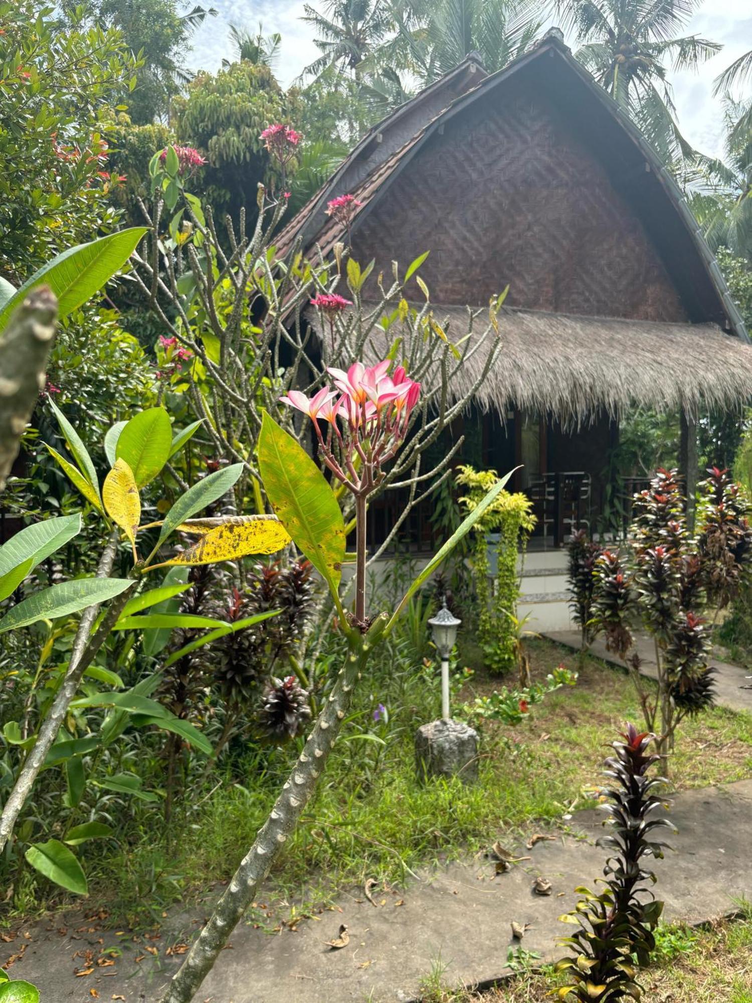 Kubu Artha Bungalow Nusa Penida Ped Exteriör bild